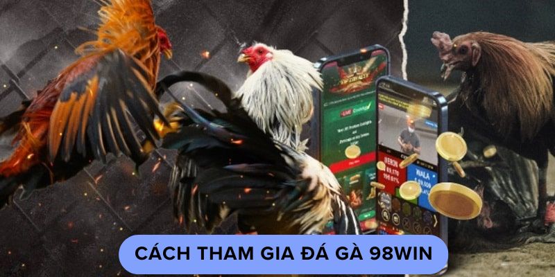 Cách tham gia đá gà 98win