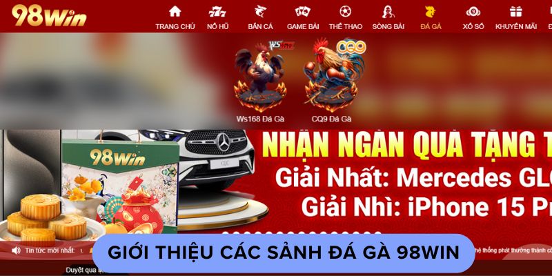 Giới thiệu các sảnh đá gà 98win