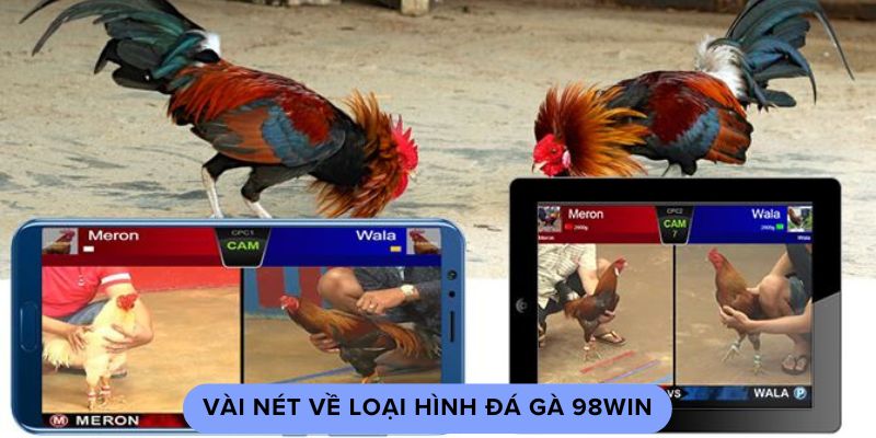 Vài nét về loại hình đá gà 98win